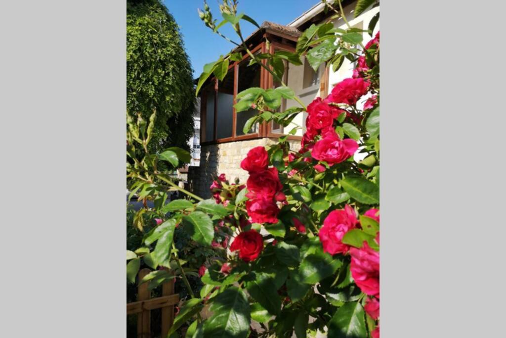 La Roseliere Maison Plain Pied Confortable Belle Decoration Jardin Magnifique 10 Mn A Pied Centre Ville Bayeux Proche Plages Du Debarquement Zewnętrze zdjęcie